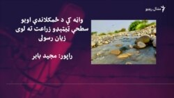 واڼه کې د اوبو کمښت کروندګرو ته لوی زیانونه اړولي واڼه کې د اوبو کمښت کروندګرو ته لوی زیانونه اړولي