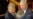 EU Envoys Seek Tymoshenko Pardon
