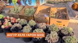 Имсол дар Тоҷикистон нархи ангур хеле гарон шудааст Имсол дар Тоҷикистон нархи ангур хеле гарон шудааст