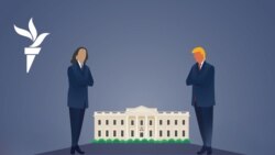 Год Трампа. Оглядываясь на избирательную кампанию в США Год Трампа. Оглядываясь на избирательную кампанию в США