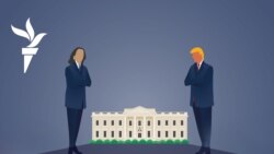 Поможет ли Маск Трампу, а медиа-блиц - Харрис? Поможет ли Маск Трампу, а медиа-блиц - Харрис?