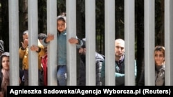 Мігранты перад сьцяной на мяжы Беларусі і Польшчы
