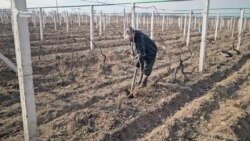 Қимати оби полезӣ дар Тоҷикистон боло рафт
 Қимати оби полезӣ дар Тоҷикистон боло рафт