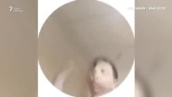 Шпигель программы