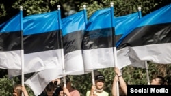 Дети с флагами Эстонии