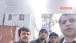 Рӯзгори як ҳомии ҳуқуқи муҳоҷирон аз Тоҷикистон Рӯзгори як ҳомии ҳуқуқи муҳоҷирон аз Тоҷикистон
