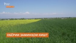 Кишоварзон дар марзи Тоҷикистону Қирғизистон умед доранд, ки имсол об ба ҳама мерасад Кишоварзон дар марзи Тоҷикистону Қирғизистон умед доранд, ки имсол об ба ҳама мерасад