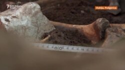 Neočekivano arheološko otkriće kod Podgorice: 'Životinjska sahrana' Neočekivano arheološko otkriće kod Podgorice: 'Životinjska sahrana'