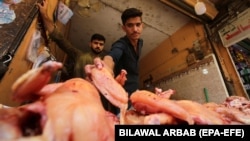 د چرګانو غوښې پلورونکی - انځور له ارشیفه