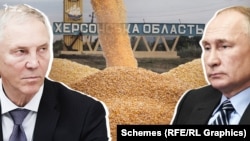 Володимир Сальдо і Володимир Путін на тлі вкраденого українського зерна (колаж)