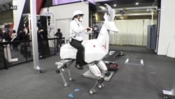 د جاپان بزې ته ورته روباټ د سپرلۍ لپاره هم کارېدای شي د جاپان بزې ته ورته روباټ د سپرلۍ لپاره هم کارېدای شي