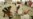 16x9 Image