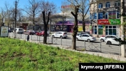 Сухие деревца в сквере у Куйбышевского рынка в Симферополе. Крым, апрель 2024 года