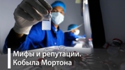 Продажная девка империализма. Трагедия российской генетики. Часть 3-я. Кобыла Мортона. Продажная девка империализма. Трагедия российской генетики. Часть 3-я. Кобыла Мортона.