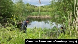 În zona Viscri din zona Sighișoarei, acolo unde funcționează mai multe fundații patronate de Regele Charles al Marii Britanii a fost creat în urmă cu 15 ani un sistemul de lacuri care decantează și curăță apele uzate.