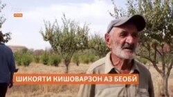 Деҳқонони ҷамоати Зарбдори Кӯлоб аз камбуди об шикоят доранд Деҳқонони ҷамоати Зарбдори Кӯлоб аз камбуди об шикоят доранд