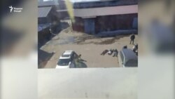 Амалиёти ОМОН-и Русия дар хобгоҳи муҳоҷирон Амалиёти ОМОН-и Русия дар хобгоҳи муҳоҷирон