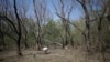 Un loc din județul Tulcea unde au fost descoperite resturile unei drone rusești. Fotografie de arhivă
