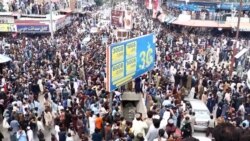 خوست کې زرګونه کسانو د کرکت نړيوال جام نيمه پايلوبې ته د افغانستان د وتلو جشن لمانځلی خوست کې زرګونه کسانو د کرکت نړيوال جام نيمه پايلوبې ته د افغانستان د وتلو جشن لمانځلی
