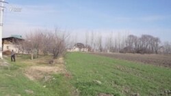 Вазир гуфт, зиёни ҳавои гарм ҳанӯз зиёд нест Вазир гуфт, зиёни ҳавои гарм ҳанӯз зиёд нест