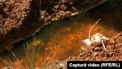 Numele din prezent al Roșiei Montane provine de la culoarea râului care o traversează, bogată în minereuri, în special de fier.