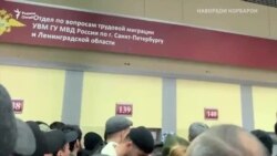 Ба садҳо муҳоҷир дар Петербург патент надоданд
 Ба садҳо муҳоҷир дар Петербург патент надоданд