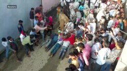 هند کې د ټول کلي د غواګانو د سړیو پر بدن دپاسه د تېرېدو رسم