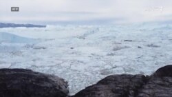 ګرينلېنډ د واورې ويلېدو له خطر سره مخامخ شوی
 ګرينلېنډ د واورې ويلېدو له خطر سره مخامخ شوی