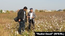 Кишоварзии тоҷикони Қазоқистон