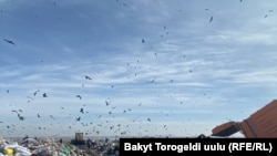 Мусорный полигон в Бишкеке / Иллюстративное фото