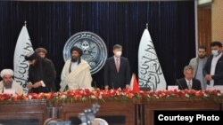 این اولین قرارداد مهم نفتی طالبان از زمان قدرتگیری دوباره در تابستان ۲۰۲۱ است