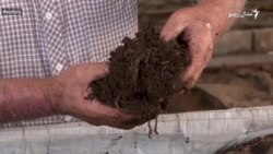 شام کې د سرې جوړولو لپاره چينجي کارول کېږي  شام کې د سرې جوړولو لپاره چينجي کارول کېږي