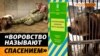 Погибшие и похищенные животные с оккупированных территорий Украины (видео)