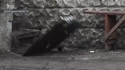 Бойовики на Донбасі вдалися до нової тактики – відео Бойовики на Донбасі вдалися до нової тактики – відео