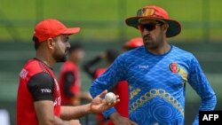 عمرګل د افغان لوبغاړي راشد خان سره خبرې کوي - انځور له ارشيفه