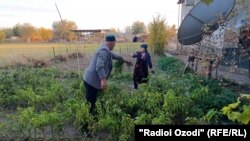 Шоҳраҷаб Холов ва Марҷона Қантураева