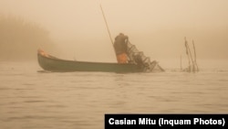 România recoltează de zece ori mai puțin pește decât acum 50 de ani. Cel puțin pe hârtie. Curtea de Conturi estimează că 70% din ce se recoltează se vinde la negre.