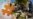 Hashtag_thumbnail