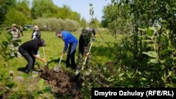 Місцеві копачі допомагають поліції ексгумувати тіло вбитого чоловіка у селі Термахівка на Київщині