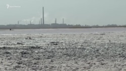 Врачи в Армянске скрывают диагнозы? (видео) Врачи в Армянске скрывают диагнозы? (видео)