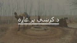 پېښور کې د ناامنۍ تر شا څه دي؟  پېښور کې د ناامنۍ تر شا څه دي؟