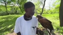 د نشه يي توکو خرڅوونکي د مارغانو ساتلو ته مخه کړې د نشه يي توکو خرڅوونکي د مارغانو ساتلو ته مخه کړې