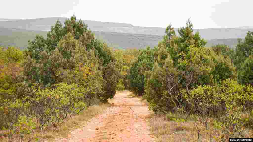 Італійське кладовище розташоване на горі Гасфорта. Її назвали на честь полковника Всеволода Густавовича Гасфорта. Ще гору називають п'ємонтською обсерваторією, бо в 1855 році там знаходився «П'ємонтский спостережний пункт»