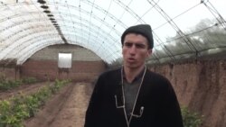 Паноҳгоҳ барои наҷоти парандаҳо аз хунукӣ дар Хатлон  Паноҳгоҳ барои наҷоти парандаҳо аз хунукӣ дар Хатлон