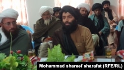"All employees are forbidden to shorten their beards and must come to work wearing turbans," Mulawi Taib, a senior Taliban official in Uruzgan, told a gathering on January 16.