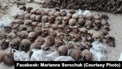 Останки в’язнів радянського режиму, які були розстріляні в Луцьку 22-23 червня 1941 року. Літо 2017 року