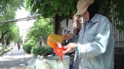 Қирғизистон шири аспро ҳамчун василаи ташвиқи сайёҳони хориҷӣ истифода мебарад Қирғизистон шири аспро ҳамчун василаи ташвиқи сайёҳони хориҷӣ истифода мебарад