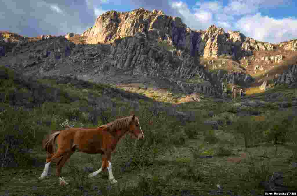 Демерджи-яйла ‒ горный массив Главной гряды Крымских гор в Алуштинском регионе Крыма. Туристические «паломничества» к его вершинам начинаются ранней весной и продолжаются даже после завершения курортного сезона