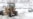 At Least 165 Killed In Afghan Avalanches