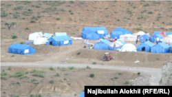 ګیان او برمل د پکتیکا هغه ولسوالۍ دي، چې ځايي اوسیدونکو ته يې د جون پر ۲۲مې زلزلې تر ټولو ډېر ځاني او مالي زیانونه واړول.